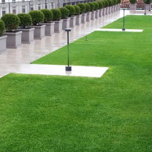 attico-bologna-elegante