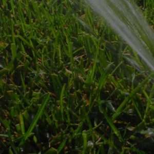 Realizzazione di impianti di irrigazione