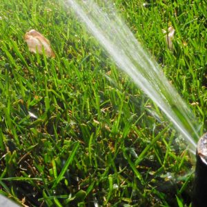 impianti-irrigazione-bologna