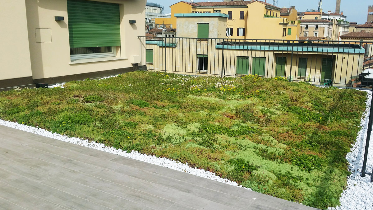 Terrazzo in centro a Bologna – Sedum