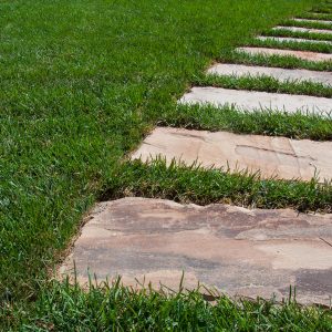 lastre in pietra su manto erboso