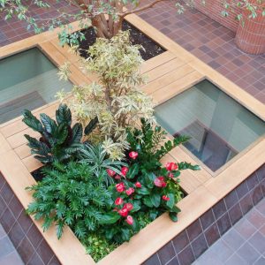 fiori ed alberi in giardino