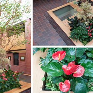 Composizione fotografica di un giardino