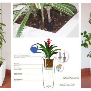 Progettazione vasi da interni