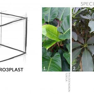 Specie di progetto, clusia princess ed altre