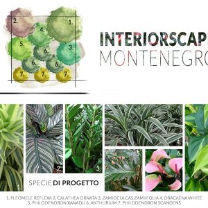 verde-aziendale-interni