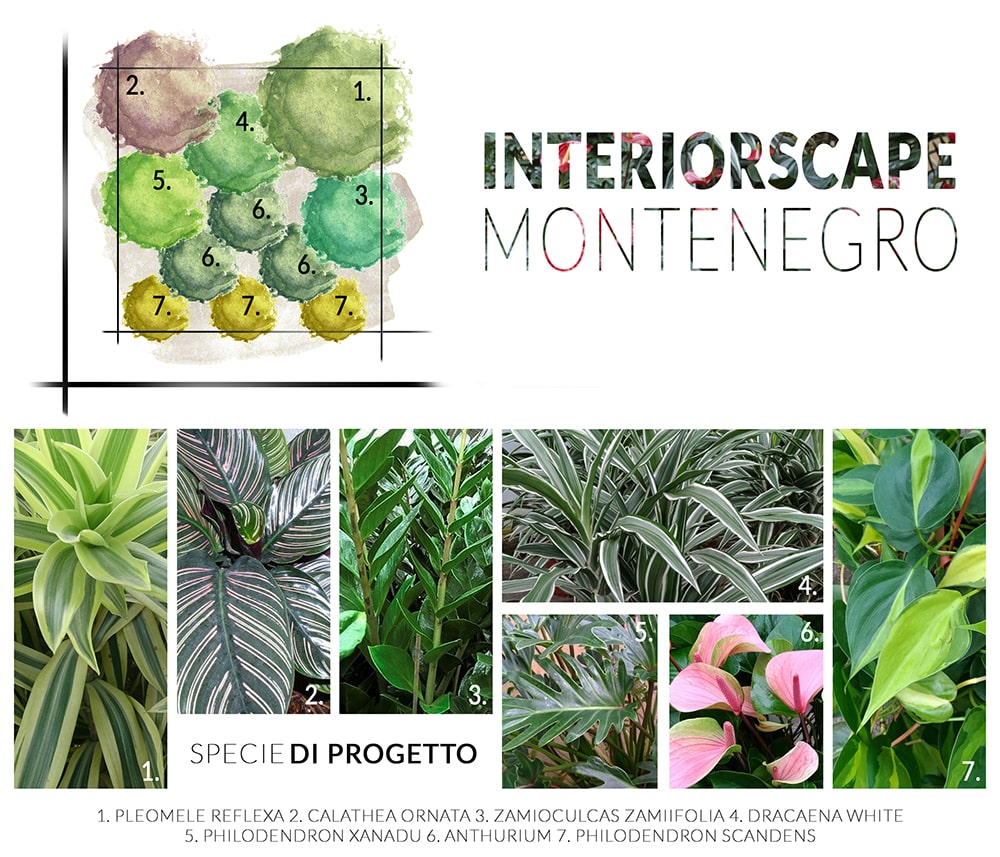 progetto-montenegro