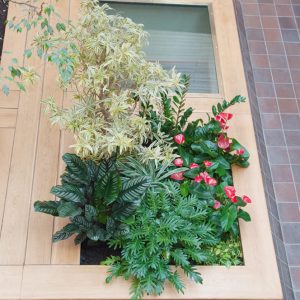 composizione floreale in giardino