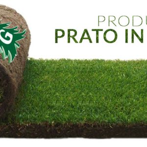 prato pronto effetto