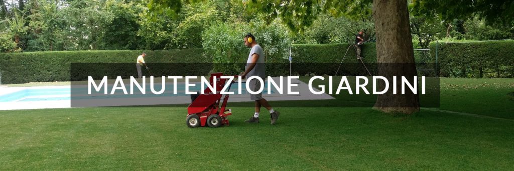 sistemazione giardini