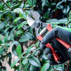 cura-giardini-bologna