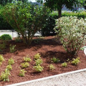 aiuola-lapillo-vulcanico