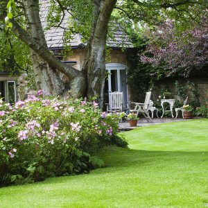 bonus-verde-giardini-bologna