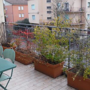 terrazzo-da-restaurare