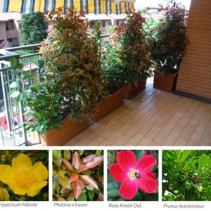 giardinieri-zola-predosa