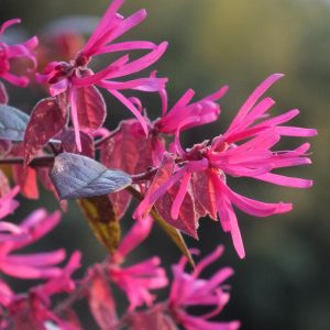 progettazione-terrazzi-bologna