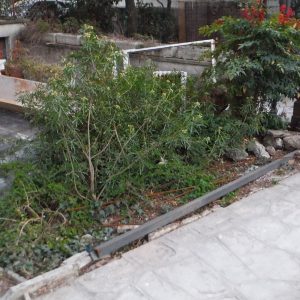 aiuola-brutta-da-restaurare