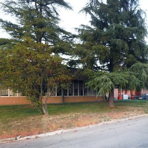 sistemazione-giardino