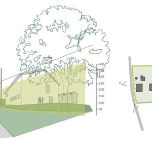 schermatura-siepe-render