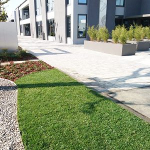 giardino-moderno-azienda