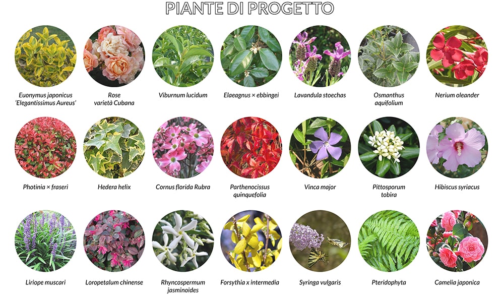 piante-progetto