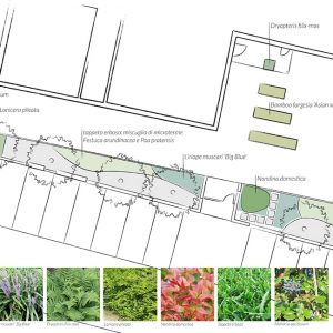 progetto-giardino