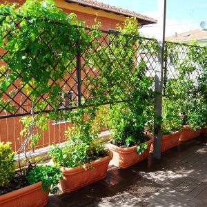 sistemazione-terrazzi-bologna