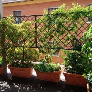 sistemazione-terrazzi-bologna