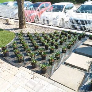 giardinaggio-bologna