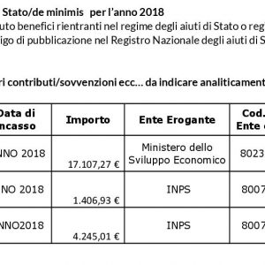 aiuti-di-stato-2018-junior-garden