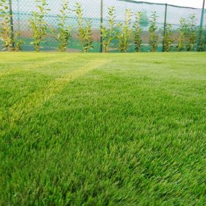 realizzazione-prati-sintetici-bologna