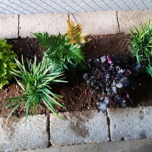 aiuola-tufo-giardino