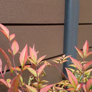 cortile-interno-bologna