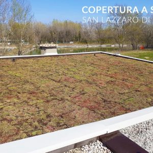 progettazione-realizzazione-giardini-pensili