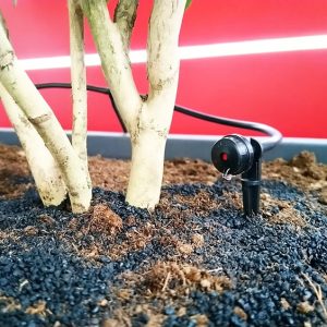 micro-irrigazione-terrazzo