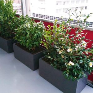 irrigazione-terrazzo-bologna