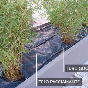 telo-pacciamatura