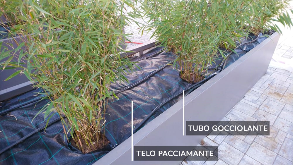 tubo-gocciolante