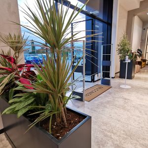 allestimento negozio