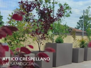 Attico Crespellano - Valsamoggia