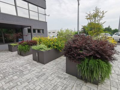 IMG_20210611_111342-min IMG_20210611_111342-min