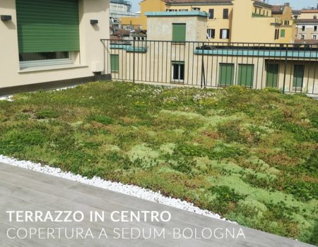 copertina terrazzo sedum bologna-min