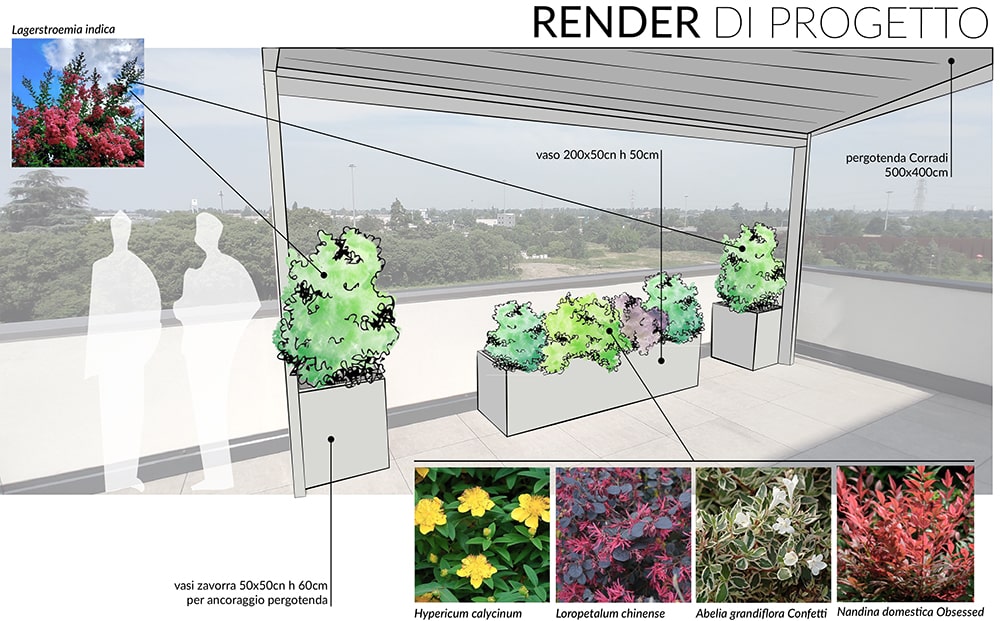 pergola render-min