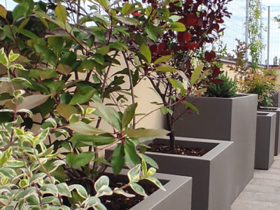 VASI RESINA VASI RESINA